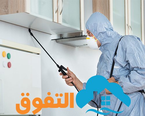 شركة مكافحة حشرات بالدمام