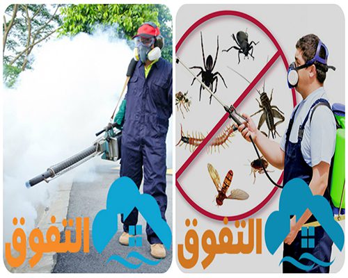 شركة مكافحة صراصير بالرياض