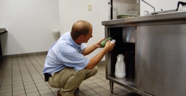 شركة رش مبيدات بالرياض