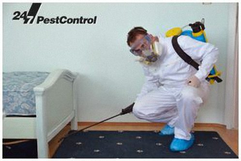 شركة رش المبيدات بالخرج