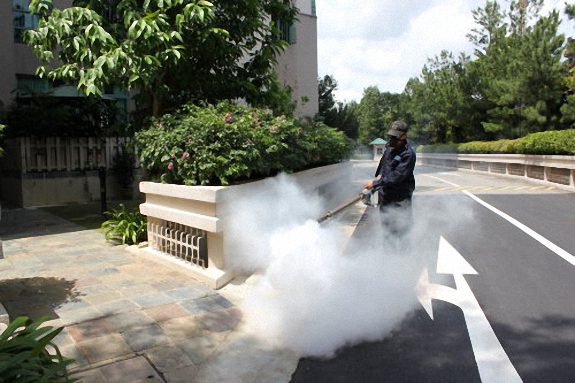 شركة مكافحة حشرات بالخرج