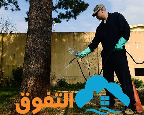 شركة مكافحة حشرات بالرياض