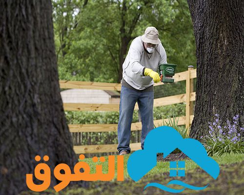 شركة رش مبيدات بالرياض