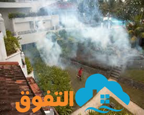 شركة رش مبيد بالرياض