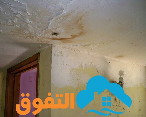 شركة كشف تسربات بالرياض