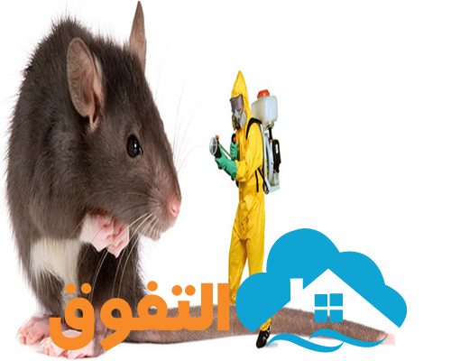 مكافحة حشرات بالخرج
