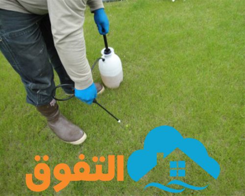 شركة رش مبيدات بالخرج