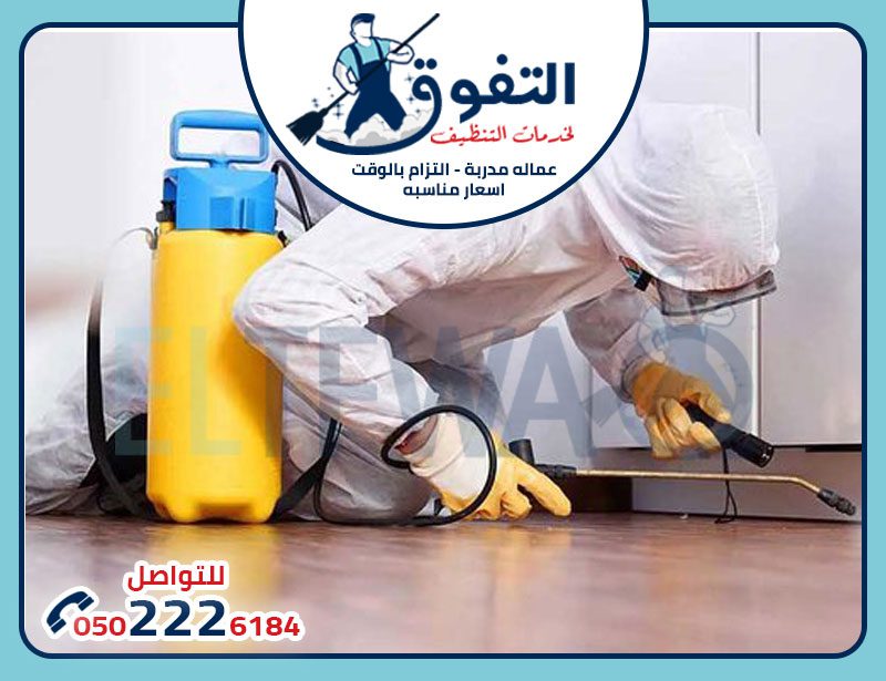 شركة-مكافحة-حشرات-بالرياض