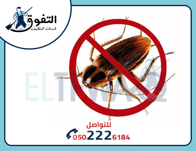 شركه مكافحة الصراصير بالرياض: كل ما تحتاج معرفته