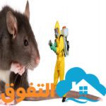 شركة مكافحة الفئران بالخرج