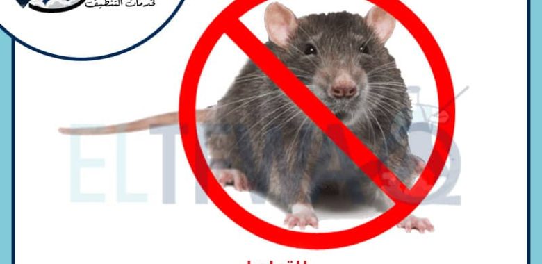 شركات مكافحة الفئران