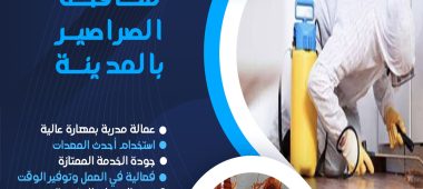 شركة مكافحة الصراصير بالمدينة المنورة