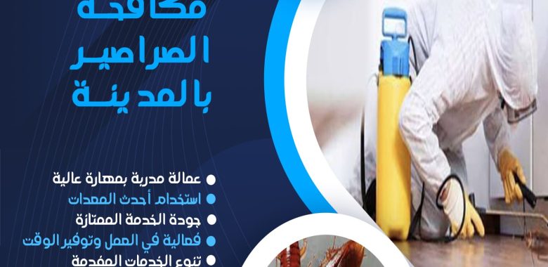 شركة مكافحة الصراصير بالمدينة المنورة