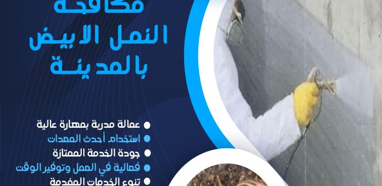 شركة مكافحة النمل الابيض بالمدينة المنورة