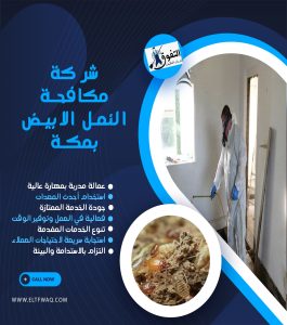 شركة مكافحة النمل الابيض بمكة