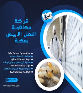 شركة مكافحة النمل الابيض بمكة