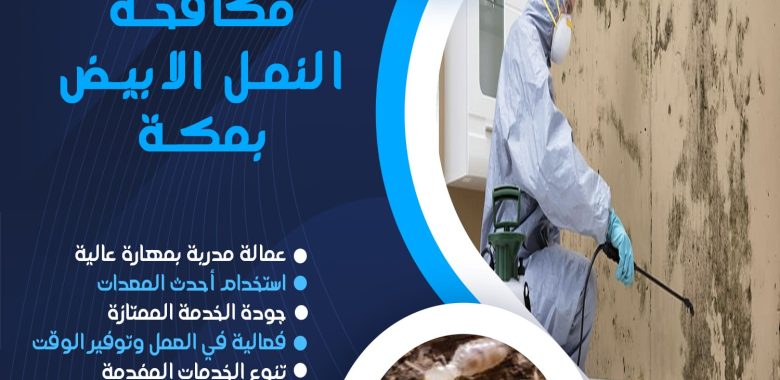 شركة مكافحة النمل الابيض بمكة