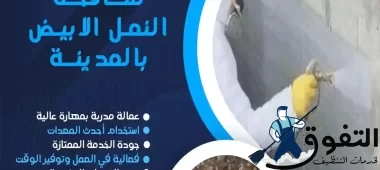 شركة-مكافحة-النمل-الابيض-بالمدينة-المنورة