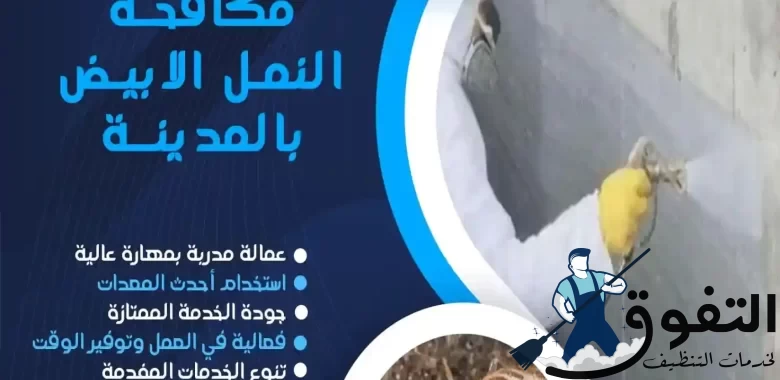 شركة-مكافحة-النمل-الابيض-بالمدينة-المنورة
