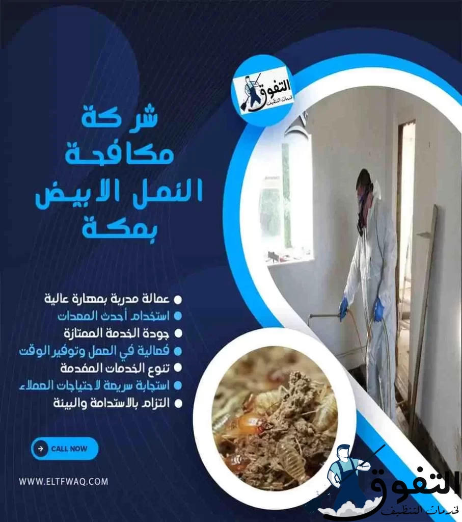 شركة-مكافحة-النمل-الابيض-بمكة-1