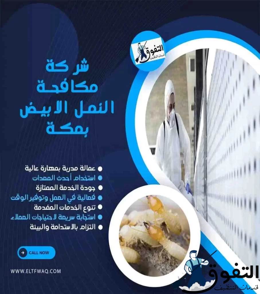 شركة-مكافحة-النمل-الابيض-بمكة-2
