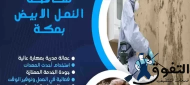 شركة-مكافحة-النمل-الابيض-بمكة
