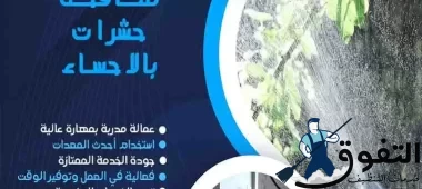 شركة-مكافحة-حشرات-بالاحساء