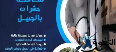 شركة-مكافحة-حشرات-بالجبيل